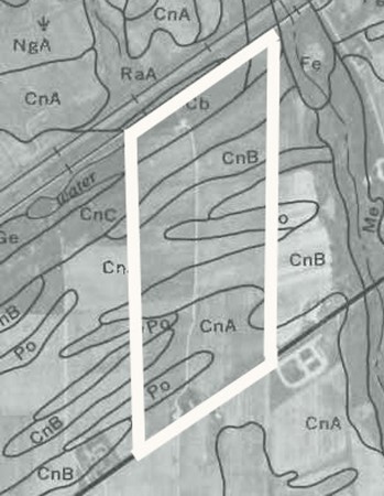 CLEREL Soil Type 