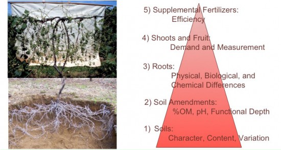 Nutrient Flow System