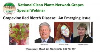 GRAPEVINE RED BLOTCH DISEASE - An Emerging Issue Webinar