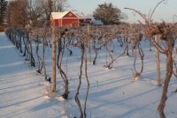 2017 LERGP Annual Winter Grower Conference