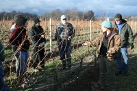 December Pruning Workshop