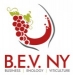 B.E.V. NY 2019