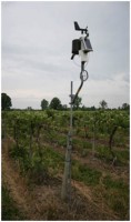 Using NEWA Resources in a Vineyard IPM Strategy