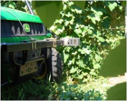 Adapting Canopy Sensing Systems into Juice Grape Production